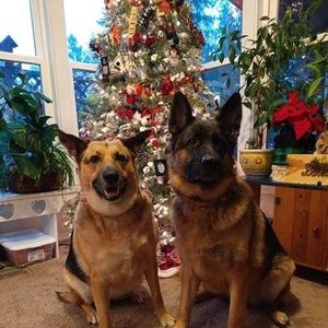 Meet your Posher, Lee